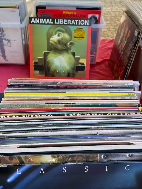 Obscure American jam band' albums for sale at Feira de Ladra in Lisbon