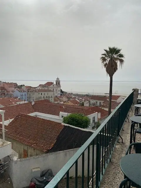 Alfama neighborhood and the Tejo River seen from the balcony of the miradouro das Portas do Sol viewpoint