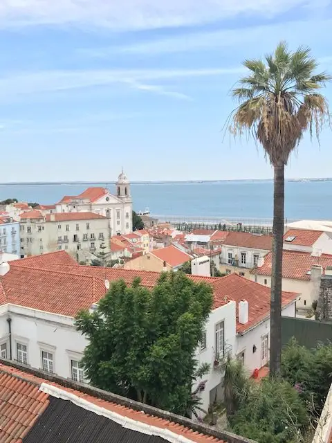 View of Alfama and the Tejo River from Lisbon's Miradouro das Portas do Sol  viewpoint.  There is a palm tree in the foreground of the picture.