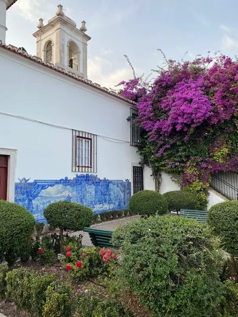 A contrast of white walls, blue azulejo tile, and purple bougainvillea in the garden of the Igreja de Santa Luzia Church in Lisbon