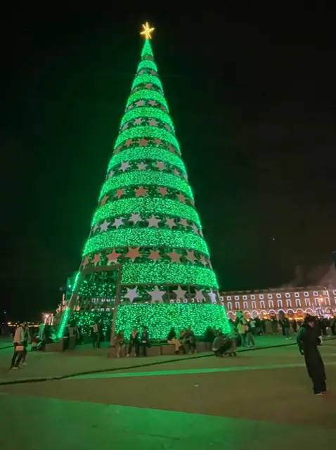 One of the largest artificial Christmas trees in Europe is foundin Lisbon's Praça do Comércio