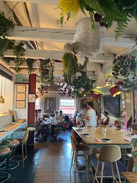 Plants hang from the ceiling in Lisbon's rooftop bar Insolito