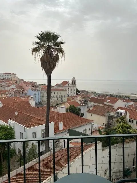 View of Lisbon's Alfama neighborhood and the Tejo River from the Miadouro das Portas do Sol scenic viewpoint