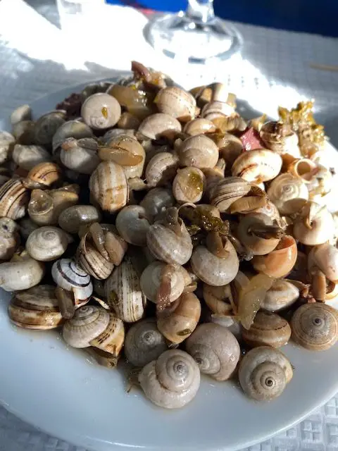 A plate of caracóis (river snails) at one of Lisbon's locals' restaurants